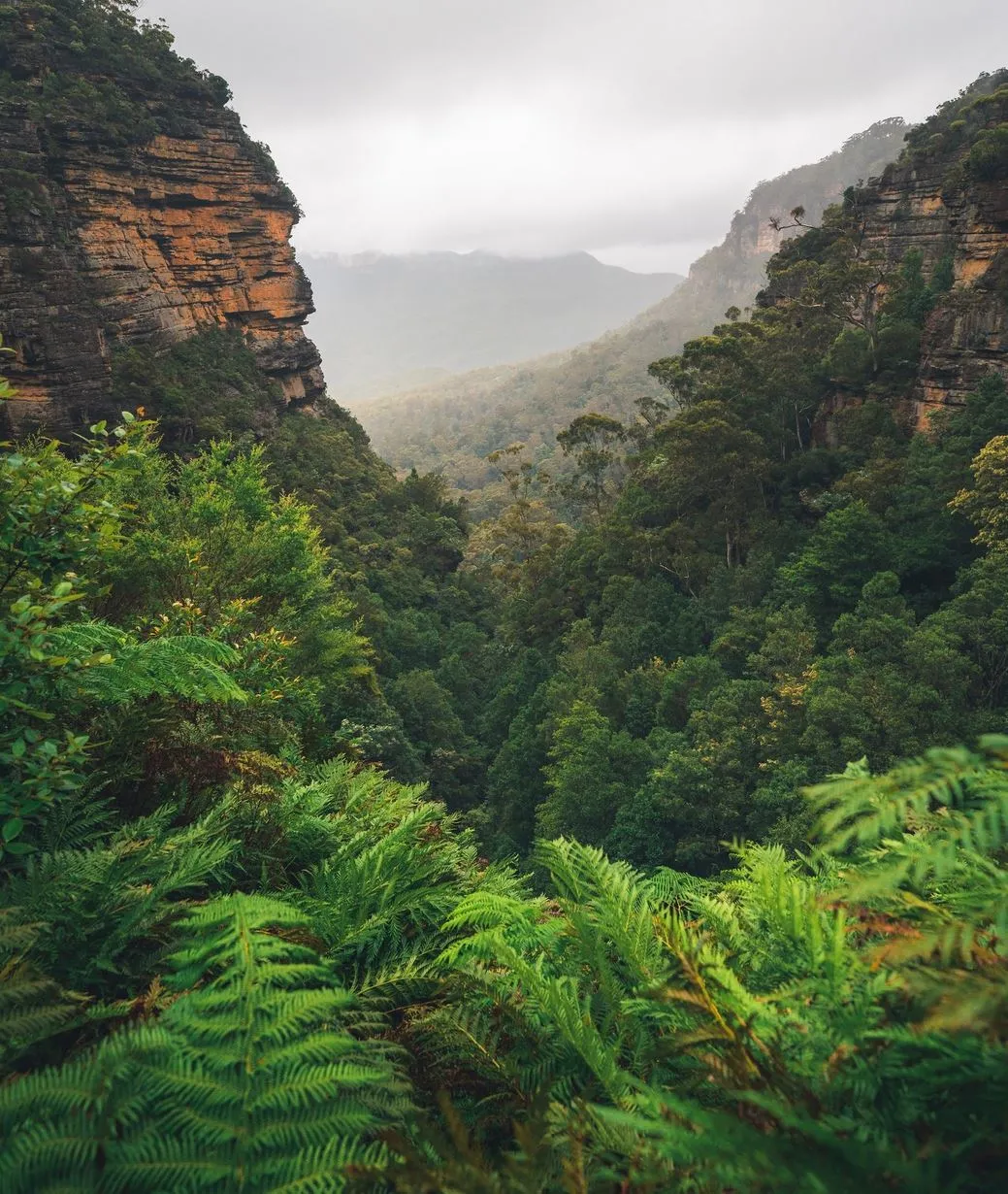 Endless Summer Books | Who Were The First Blue Mountains People? Blue Mountains