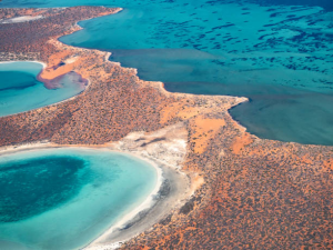 Explore the Wonders of Big Lagoon in François Peron National Park